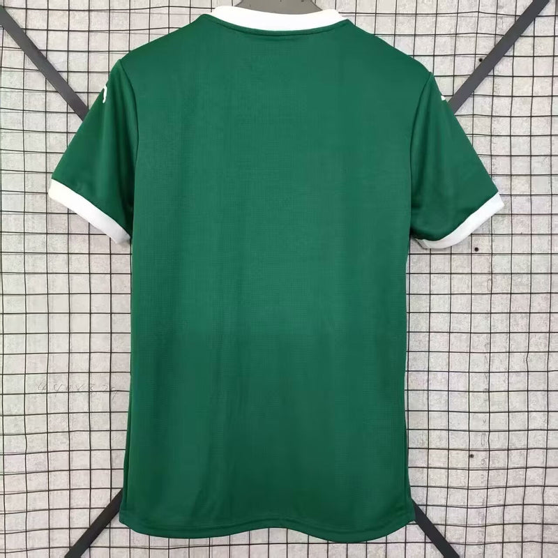 Palmeiras Home 2025