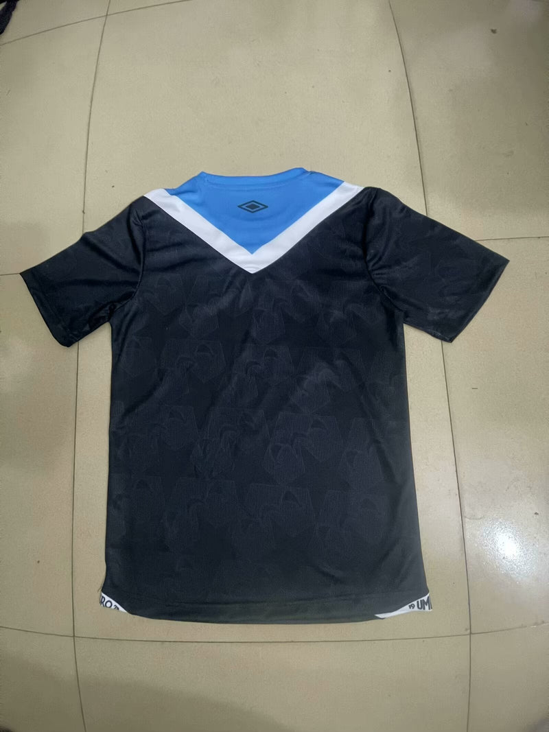 Grêmio 24/25